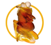 Vô sinh